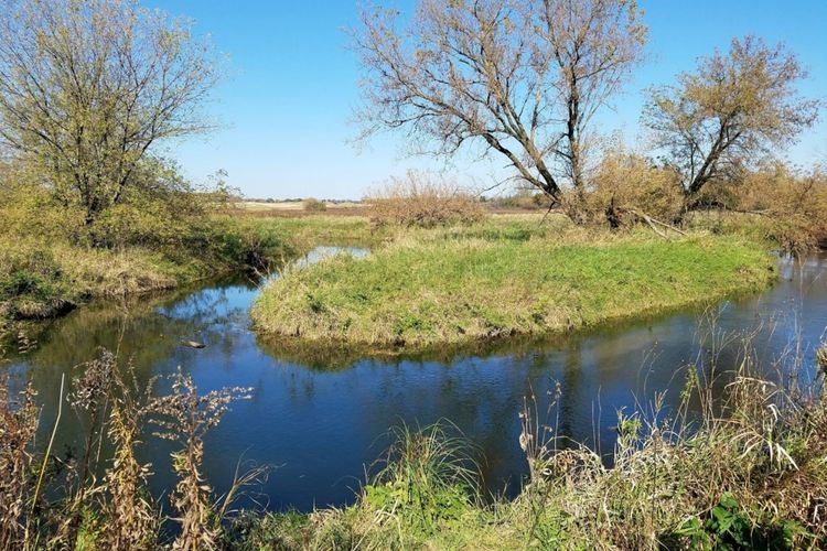 DeForest, WI Homes for Sale & Real Estate